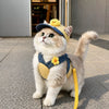 Clothing and accessories collection banner for pets