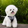 Harnesses collection banner