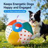 Oversized Tug-and-Fetch Ball Toy for Dogs