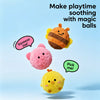Cartoon Squeaky Ball Dog Toy