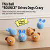 Squeaky Dog Ball Toy
