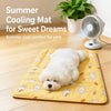 PVC Pet Rest Mat