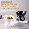 Ceramic Angled Elevated Pet Bowl