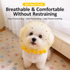 Polyester Mesh Muzzle for Small Dogs