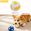 Squeaky Dog Ball Toys for Small and Medium Dogs
