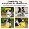 Interactive Dog Toys with Flying Disc, Tug Rings & Ball