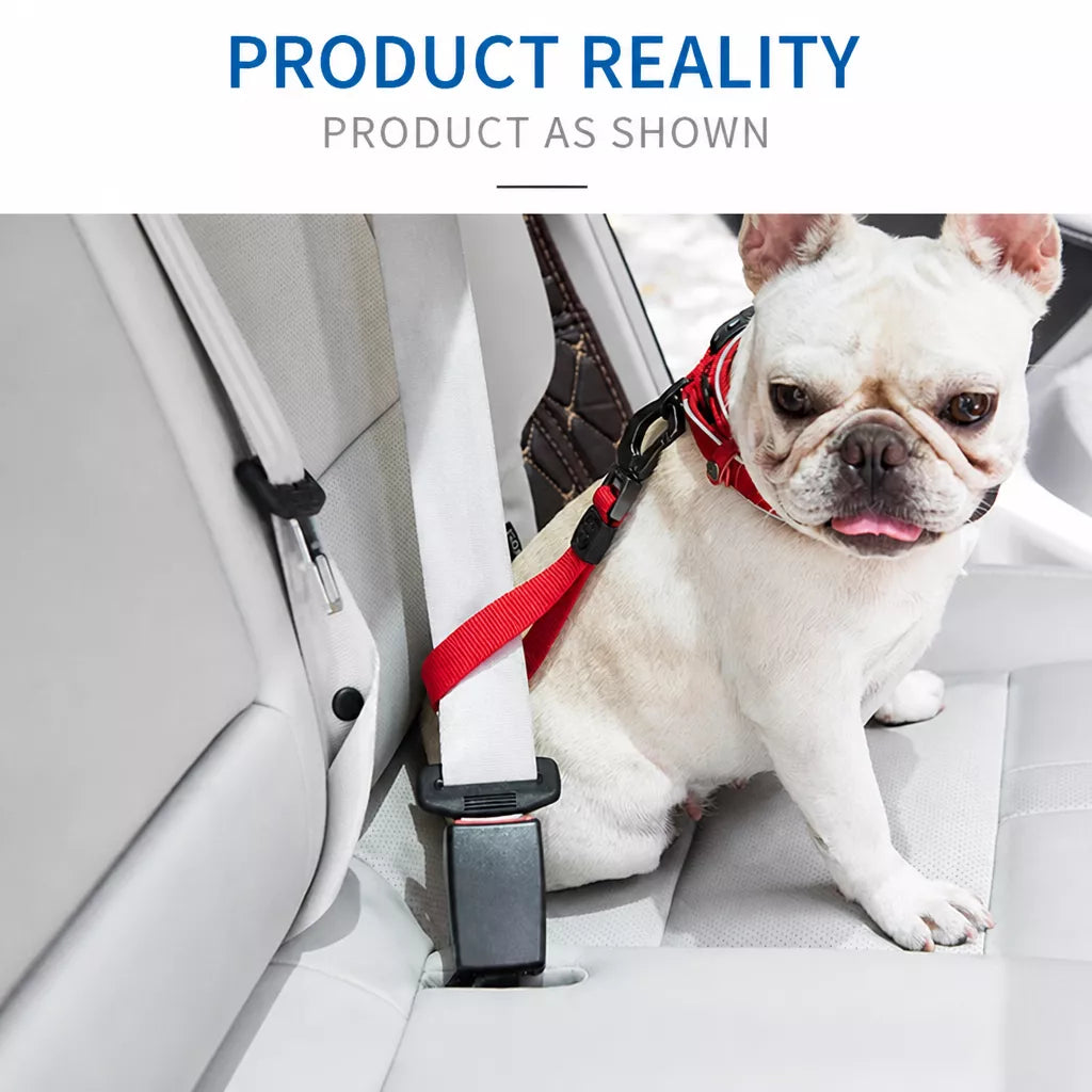 Pet Car Seat Belt Leash for Dogs p-05413