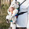 Breathable Mesh Pet Carrier Backpack