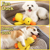 Plush Squeaky Dog Toys