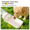 Portable Dog Water Bottle for Walks and Travel