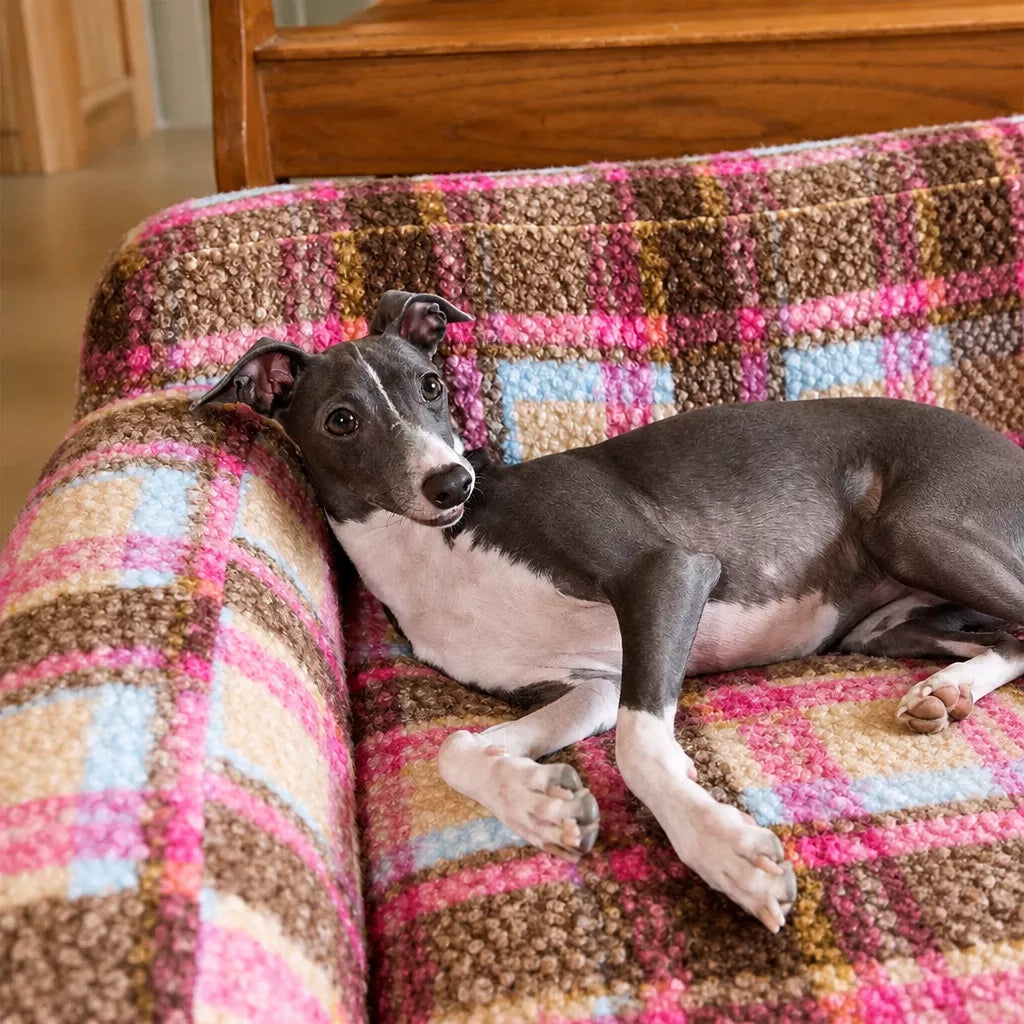 Vintage Plush Pet Sofa Bed for Dogs & Cats