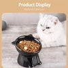 Ceramic Angled Elevated Pet Bowl