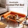 Elevated Pet Bed for Small to Medium Dogs and Cats