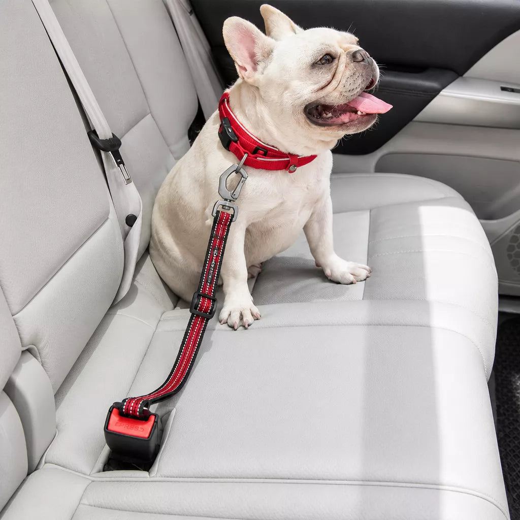 Pet Car Seat Belt Leash for Dogs p-05413