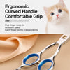 Stainless Steel Pet Grooming Scissors Set