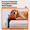 Elevated Pet Bed for Small to Medium Dogs and Cats
