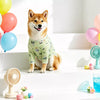 Lightweight Four-Leg Dog Bodysuit for Summer
