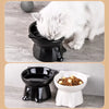 Ceramic Angled Elevated Pet Bowl