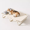 Elevated Dog Cot Bed with Nylon Surface