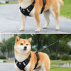 Vest-Style Dog Harness