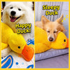Plush Squeaky Dog Toys