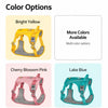 Nylon Dog Harness with Leash