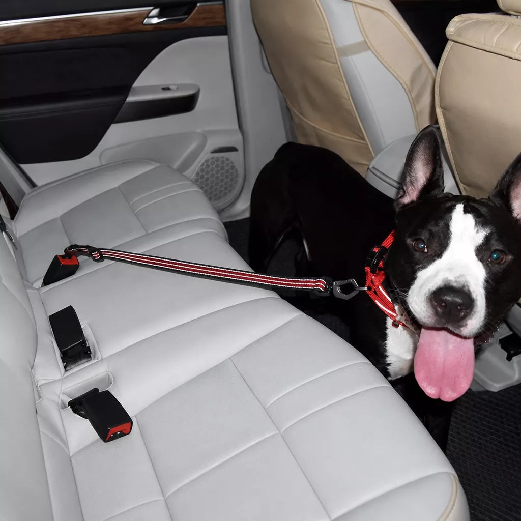 Pet Car Seat Belt Leash for Dogs p-05413