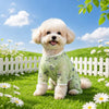 Lightweight Four-Leg Dog Bodysuit for Summer