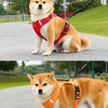 Vest-Style Dog Harness