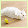 Cat Tumbler Teaser Toy with Feather and Catnip Ball
