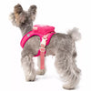 Pet Vest Harness for Small Dogs and Cats