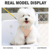 Dog Vest Harness with Leash