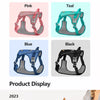 Nylon Dog Harness with Leash