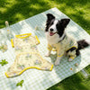 Lightweight Four-Leg Dog Bodysuit for Summer