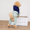 Four-Leg Dog Raincoat for Small Dogs