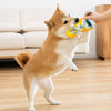 Squeaky Slipper Dog Toy