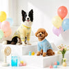 Lightweight Four-Leg Dog Bodysuit for Summer