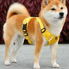 Vest-Style Dog Harness