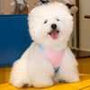 Dog Vest Harness with Leash