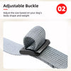 Nylon Dog Vest Harness for Small to Medium Dogs