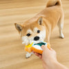 Squeaky Slipper Dog Toy