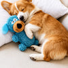 Squeaky Tug Toy for Small & Medium Dogs