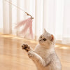 Cat Teaser Wand Toy with Feather and Bell Details