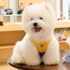 Dog Vest Harness with Leash