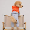 Four-Leg Dog Raincoat for Small Dogs