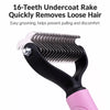 Double-Sided Detangling & Thinning Pet Comb