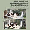 Cat Window Hammock Bed with Suction Cups