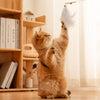 Cat Teaser Wand Toy with Feather and Bell Details