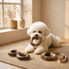 Knotted Rope Tug Toy for Dogs and Cats