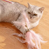 Cat Teaser Wand Toy with Feather and Bell Details